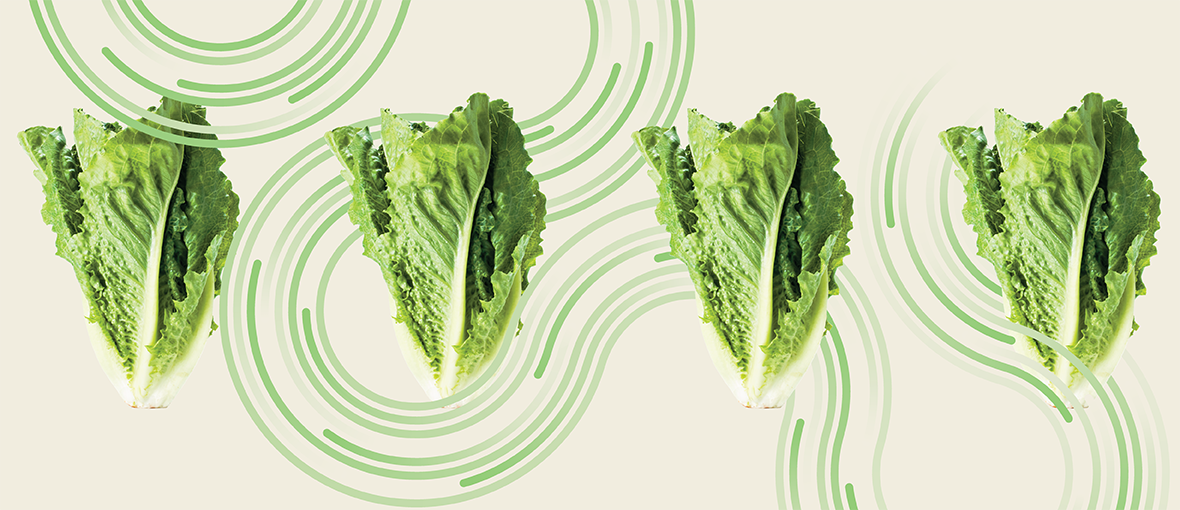AI can help spot 'bad lettuce.' That doesn't make it a good business.