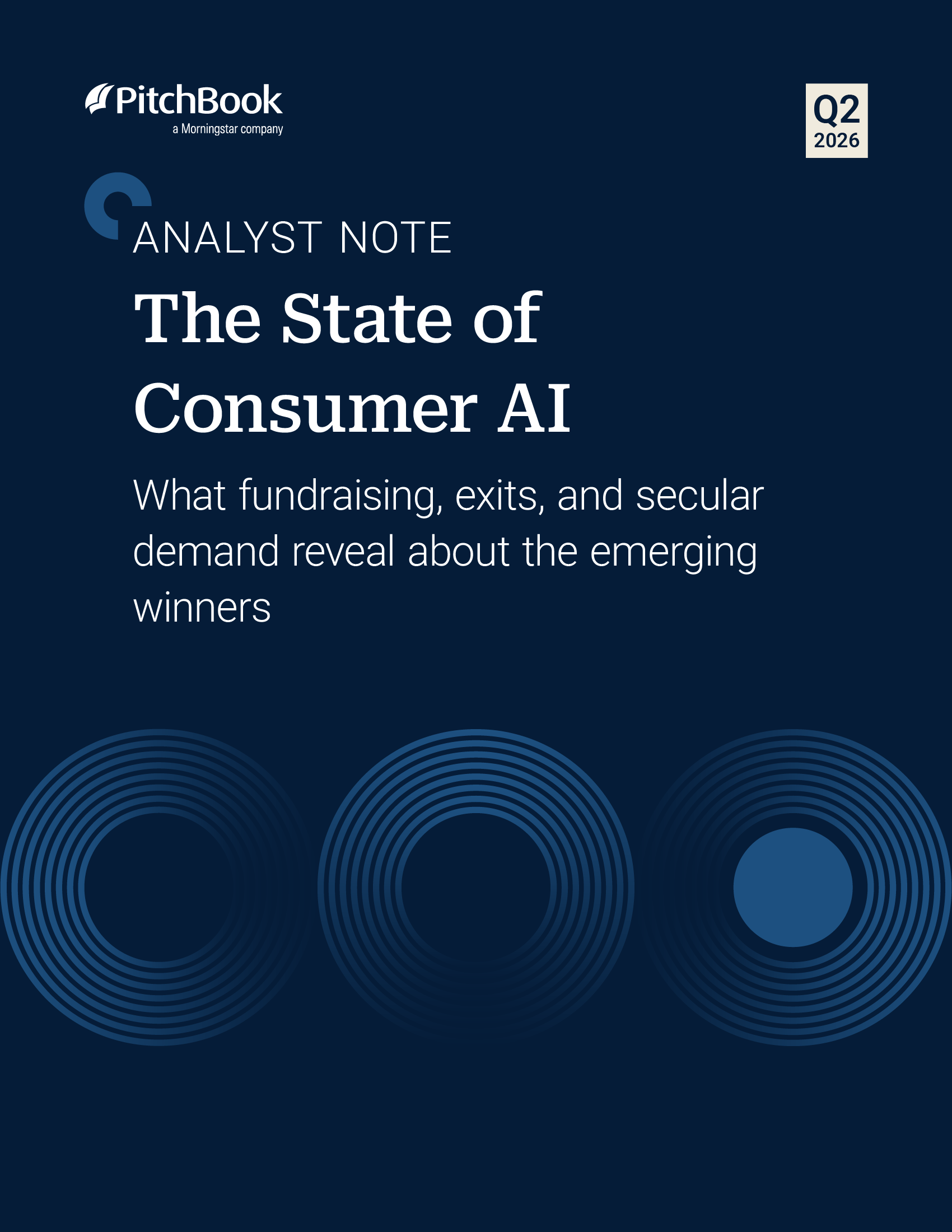 The State of Consumer AI