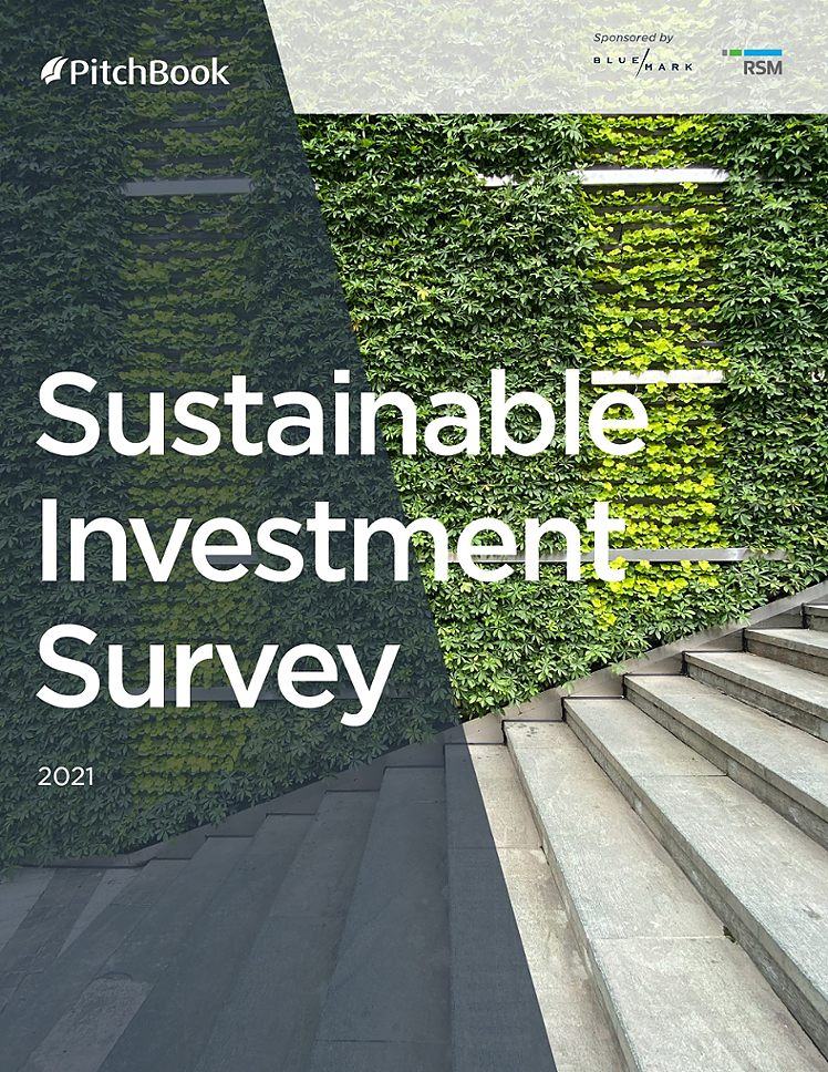 Sustainable Investment Survey