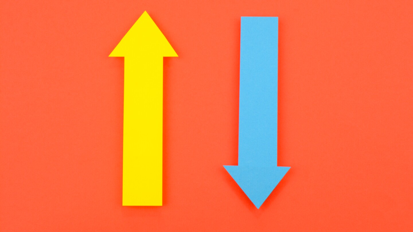 Private debt fundraising saw sharp contrasts in 2024 - PitchBook