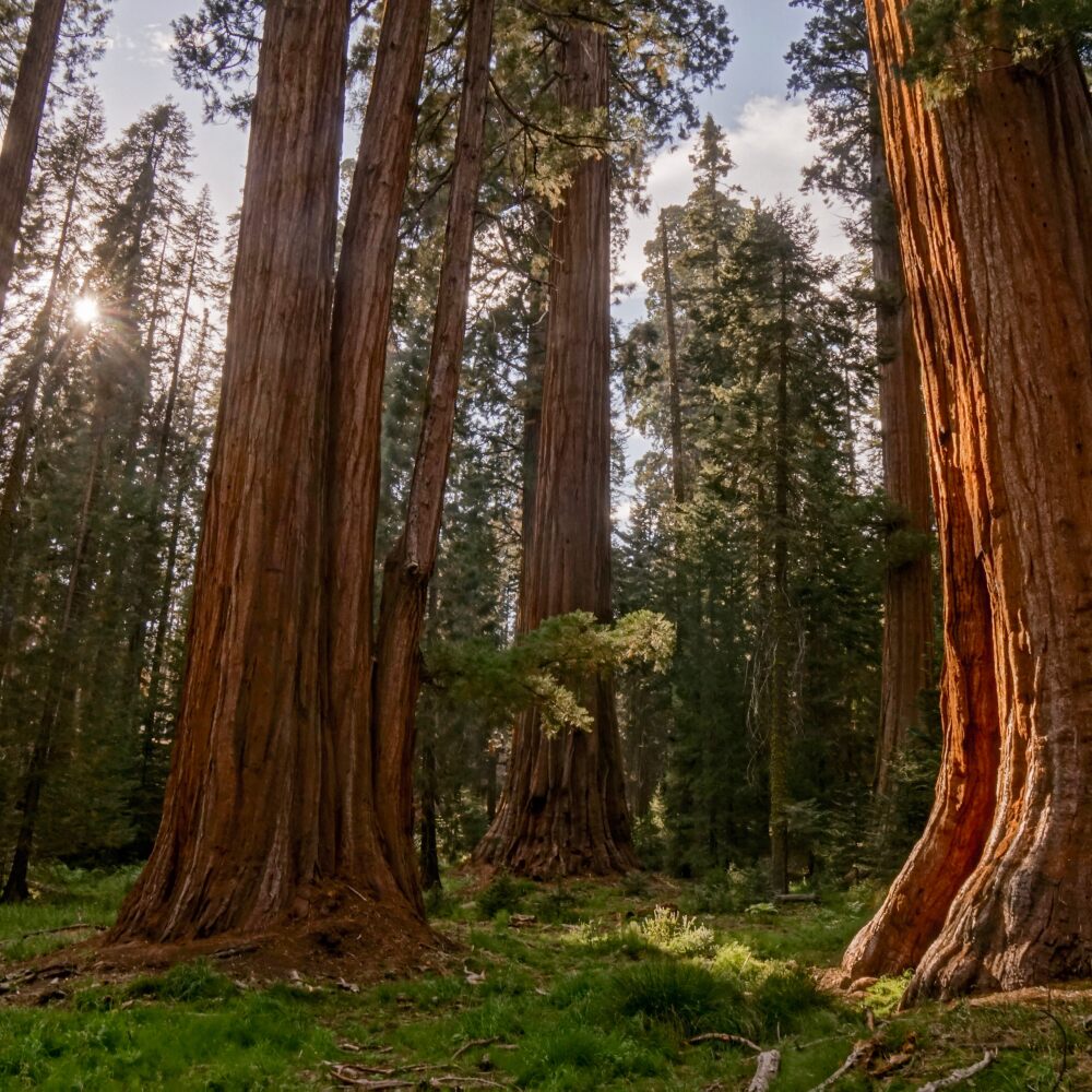 Is Sequoia #39 s fund restructuring really a game changer for VC? PitchBook Is Sequoia #39 s fund restructuring really a game changer for VC? PitchBook